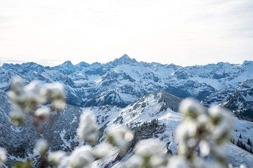 Winter on the Hochvogel by Leo Schindzielorz