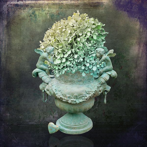 Hydrangea still life by Carla van Zomeren