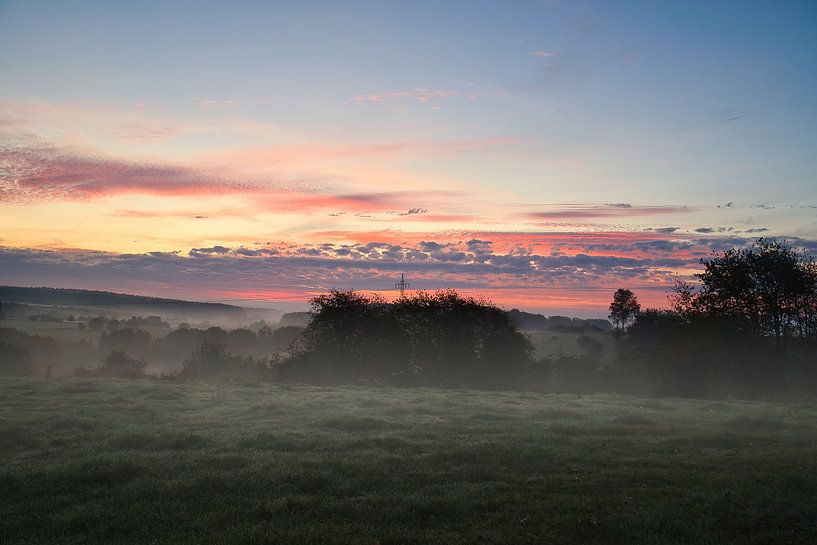 Tree in a meadow in the fog at sunrise by Martin Köbsch