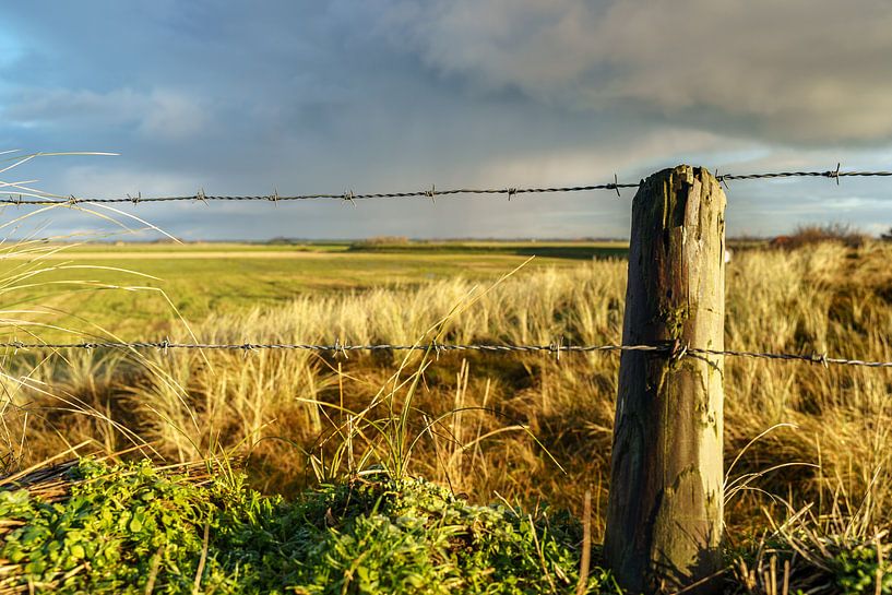 Wattenmeerlandschaft auf Texel von Fotografiecor .nl
