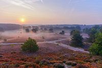 Brunssummerheide von seiner schönsten Seite!
