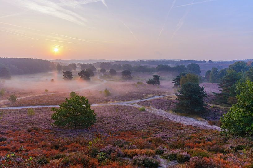 Brunssummerheide op z'n mooist! van Remco Van Daalen