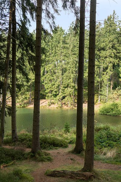 natuurgebied de harz in duitsland par ChrisWillemsen