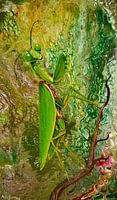 Praying Mantis - Fluid Art
