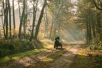 Avec un cheval et une charrette sur la crête de la colline d'Utrecht