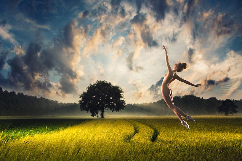 Balletsprong in het veld van Arjen Roos