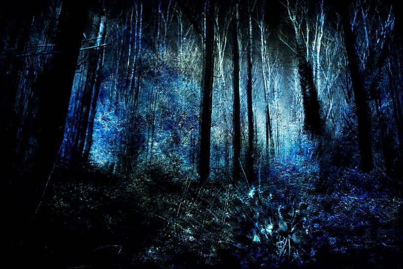 At the end of a forest #04 by Peter Baak