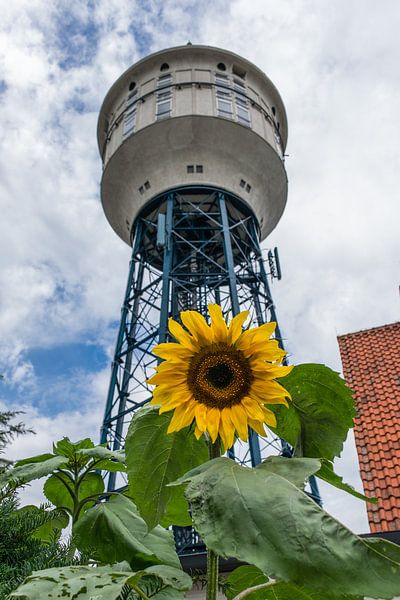 Tournesol et château d'eau à Goes par Patrick Verhoef