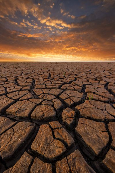 Sonnenuntergang über dem Wattenmeer bei Ebbe von Bas Meelker