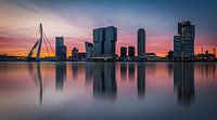 Skyline Rotterdam Fine Art