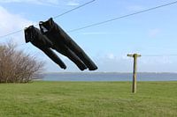 Two trousers on the line