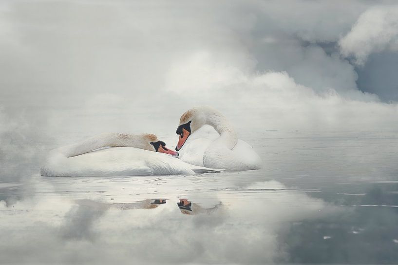 Histoire d'amour par Monique van Velzen