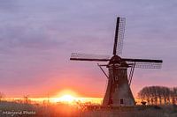 Boezemmolen Nr. 6 Haastrecht