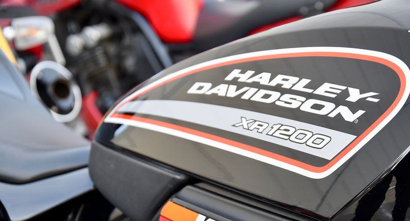 American motorcycle icon Harley Davidson by Jan Radstake