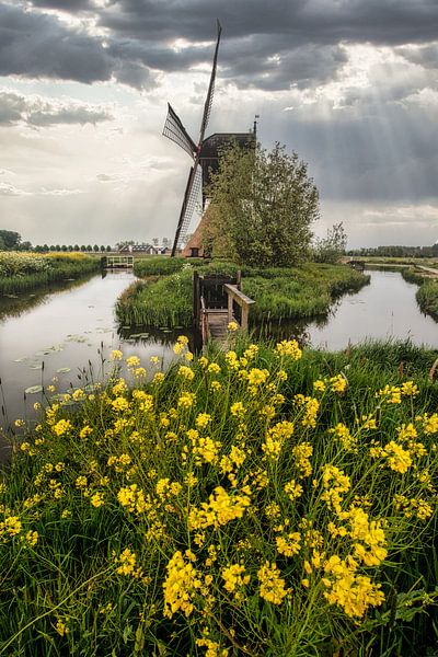 Mill by Danielle de Graaf