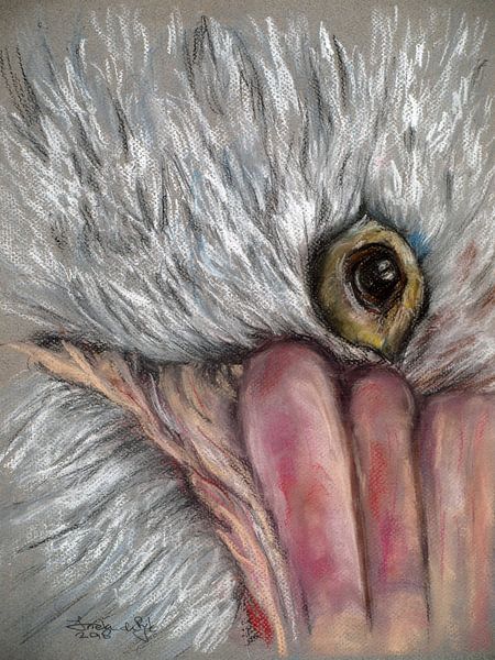 Une vue du monde à vol d'oiseau. par Ineke de Rijk