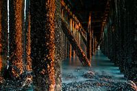 Sous un échafaudage