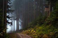 High-seat Black Forest