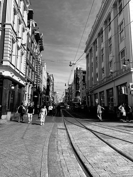 Leidsestraat Amsterdam von Marianna Pobedimova