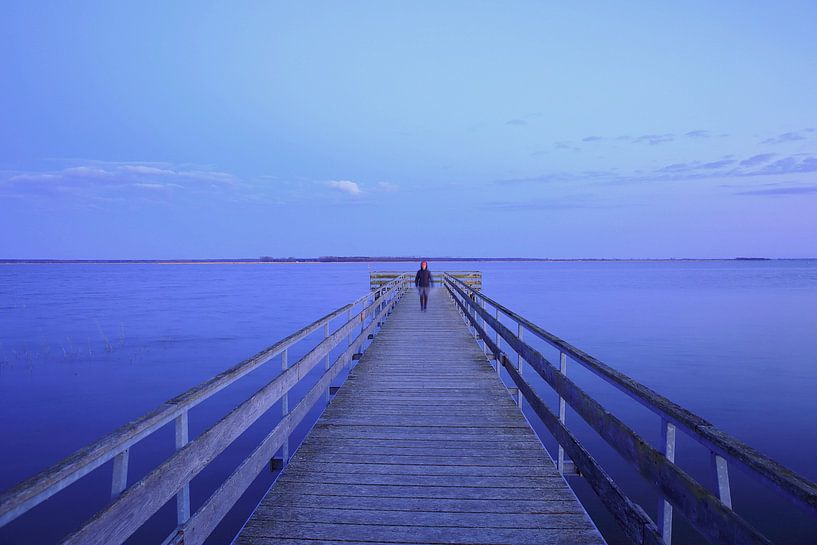 Passerelle de Born am Darß par Patrick Lohmüller