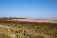 Die Brandaris auf Terschelling vom Grünstrand aus