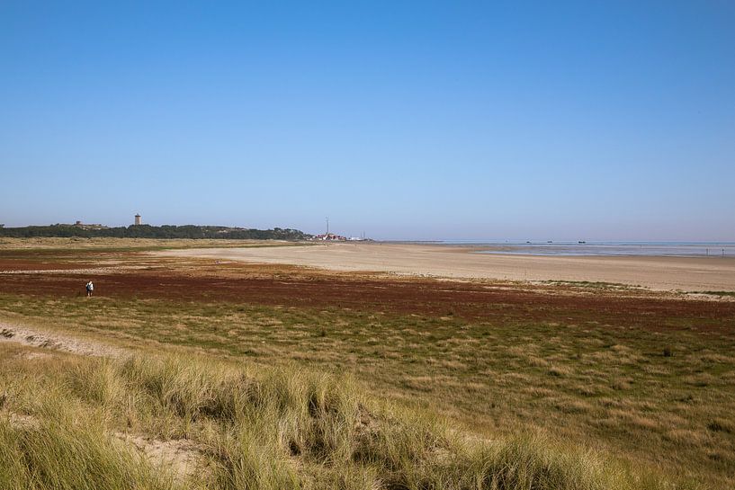 Die Brandaris auf Terschelling vom Grünstrand aus von Jolanda Kleij