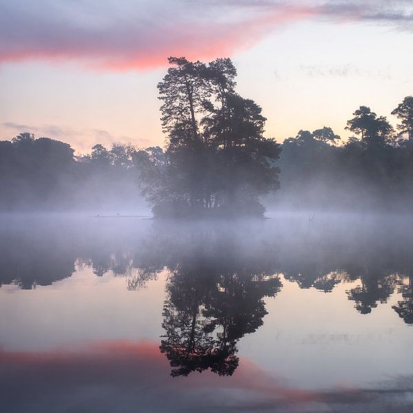 Fagnes d'Oisterwijk par Jeroen Linnenkamp