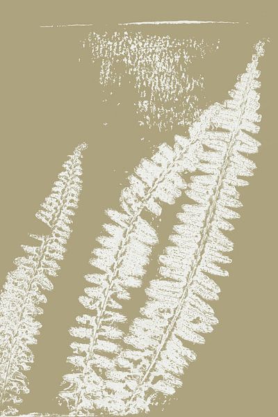 Pastell Botanicals. Gedruckte Pflanze. Weiße Farnblätter auf beige von Dina Dankers