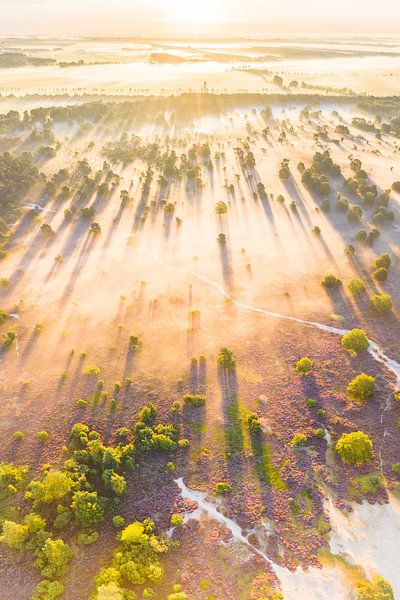 Sonnenaufgang über Drouwenerzand (Poster) von Droninger