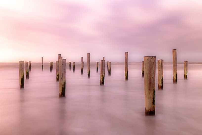 Palendorp Petten 9 by Nuance Beeld