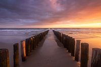 Touched by the Light