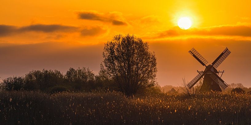 Sonnenaufgang an der Noordermolen von Henk Meijer Photography