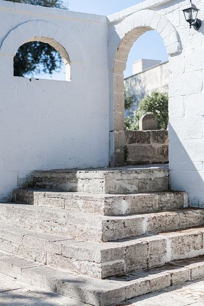 Escalier vers l'oliveraie par DsDuppenPhotography