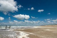 La lumière de Zélande