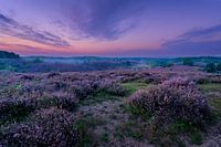 Posbank Veluwezoom Sonnenaufgang