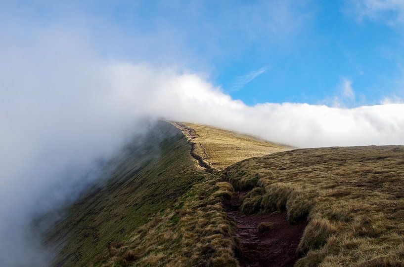 Corn du by Jasper Los