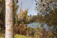 Landschap meer Wevelgem