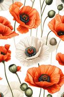 Mohnblumen - Weißer Mohn &  Roter Mohn