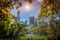 Central Park, New York