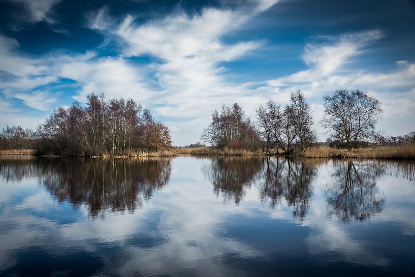 Reflection of nature par AnyTiff (Tiffany Peters)