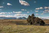 Cemetery in Northern Iceland