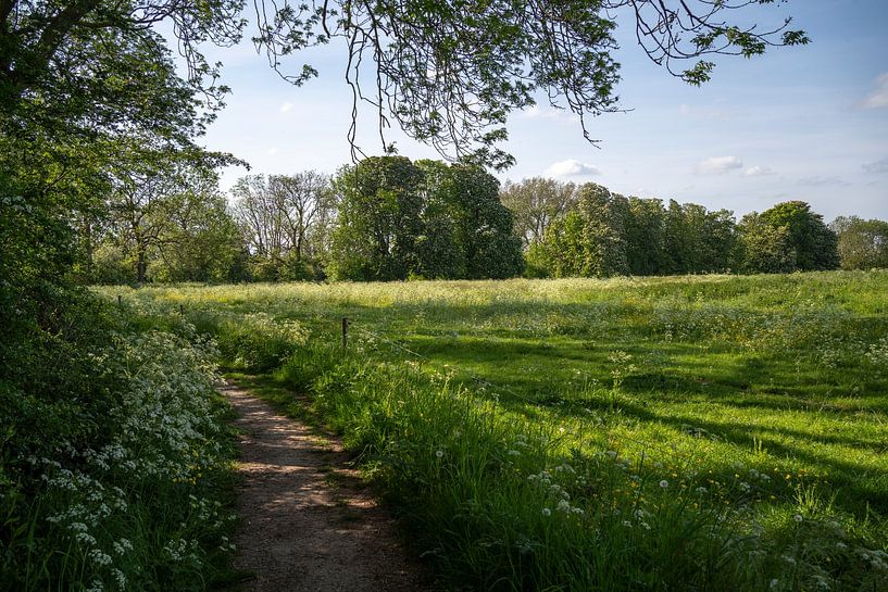 On the green field by Manuuu