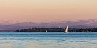Voilier devant le Bodanrück au lac de Constance
