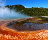 Grote prismatische veer