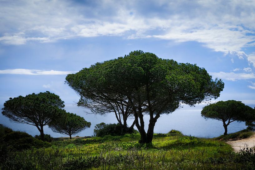 Environs Albufeira par Eddy Westdijk