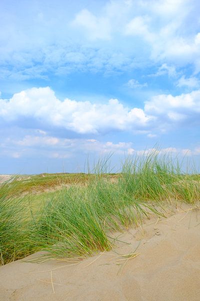 Été dans les dunes de la plage de la mer du Nord par Sjoerd van der Wal Photographie