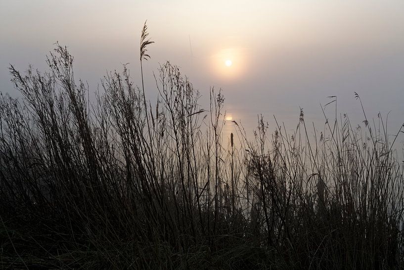 Nebel bei Sonnenuntergang am See von Rolf Pötsch