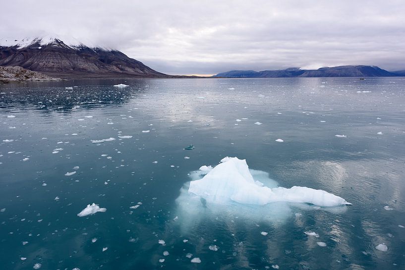 Ijs op de Noordpool by Richard van der Hoek