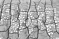 Abstrakt trockenen Sand Muster in schwarz und weiß