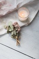 Minimalist Background with Dry Flowers and Candle